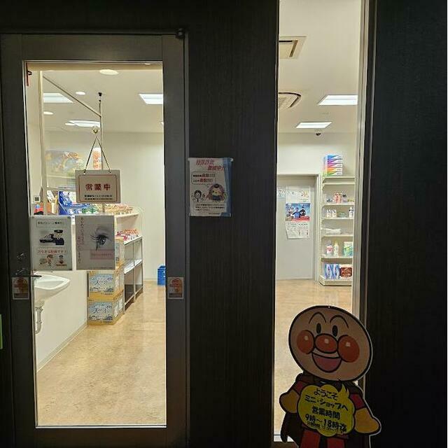 ザ・タワーアンドパークス田園都市溝の口部屋番号：2205